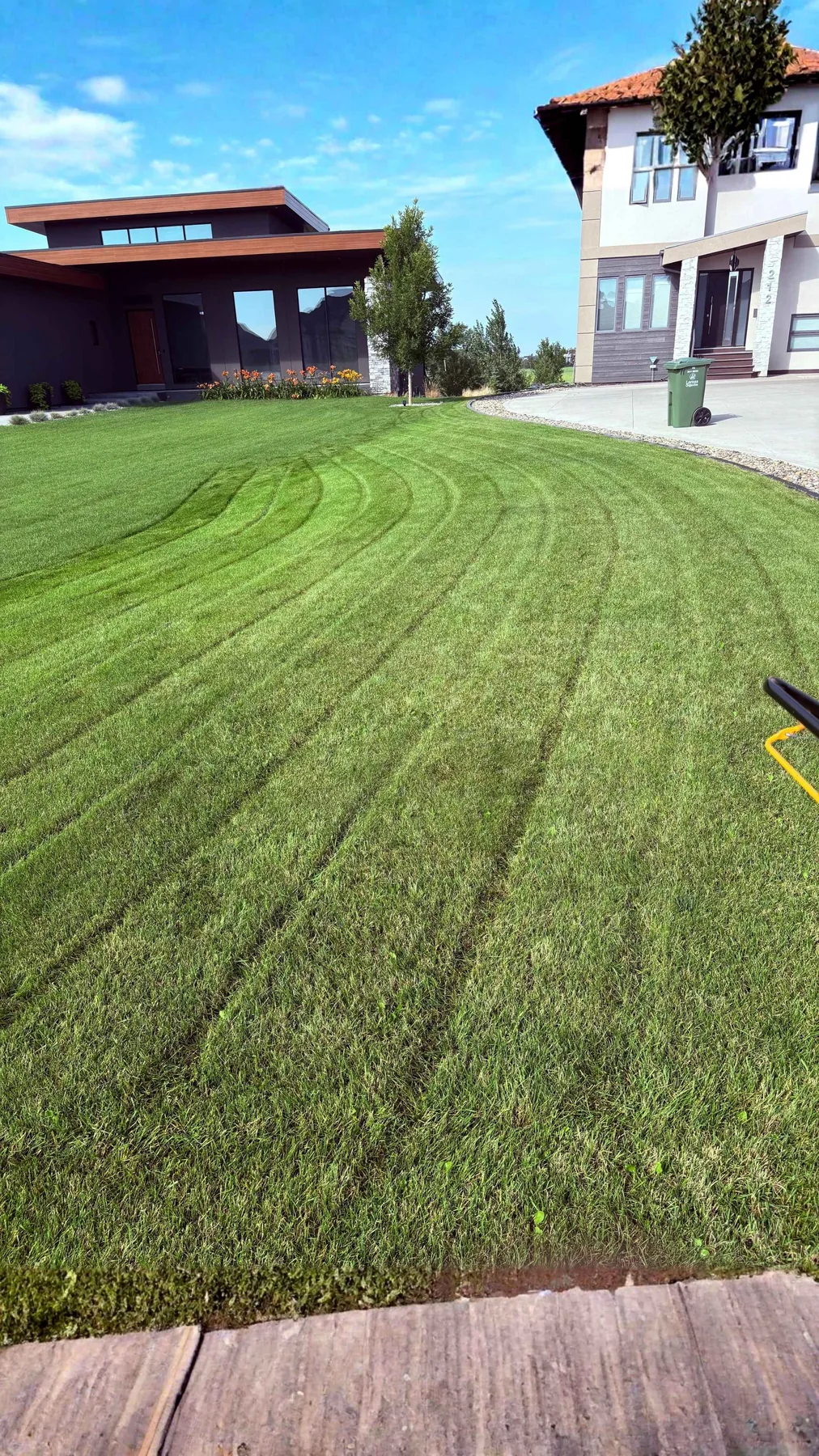 Healthy Saskatoon lawn