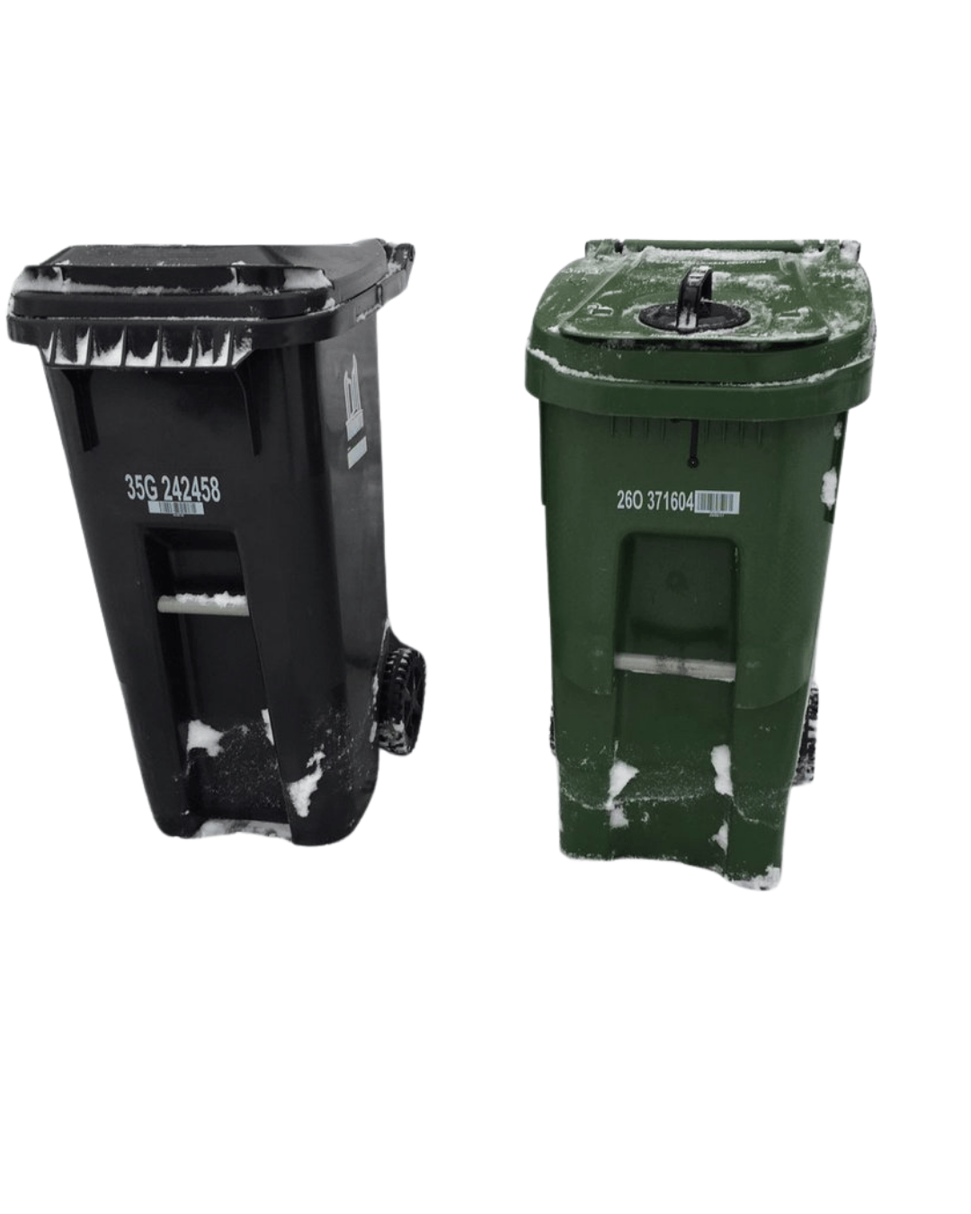 Two residential garbage bins ready for cleaning service